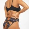 Butterfly Wings Lace & Mesh Crotchless Knickers