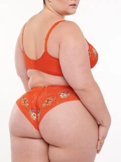 Dolled Up Lace Cheeky