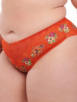 Dolled Up Lace Cheeky 8 Dolled Up Lace Cheeky -Sportswear Store DOLLED UP LACE CHEEKY UD2252231 10765 4 1200x1600 1