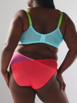 I Dare Hue Mesh High-Leg Bikini Knickers