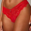 Romantic Corded Lace Brazilian Knickers